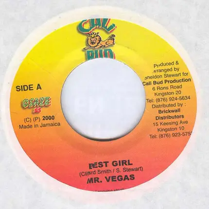 Mr. Vegas - Best Girl