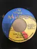7inch Vinyl Single - Mr. Vegas / Sypple Steppa - Land Of My Birth / Come In Wid It