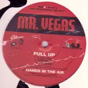 Mr. Vegas - Tamale
