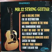 Mr. 12 String Guitar