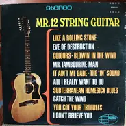 Mr. 12 String Guitar - Mr. 12 String Guitar