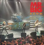 Mr. Big - Live