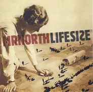 Mrnorth - Lifesize