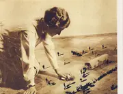 CD - Mrnorth - Lifesize