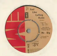 Mr Big - Feel Like Calling Home