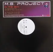 Ms Project