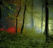 12'' - MUM - Sincerely Yours - Part One Of 5