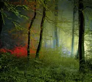 Mum - Sincerely Yours - Part One Of 5