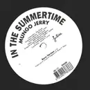 LP - Mungo Jerry - In The Summertime - Flash Backs