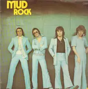 Mud - Mud rock