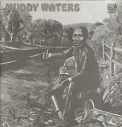 Double LP - Muddy Waters - Chess Blues Masters Series