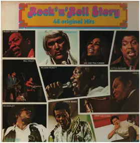 Muddy Waters - Rock'n'Roll Story 48 Original Hits