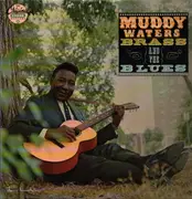 LP - Muddy Waters - Brass And The Blues