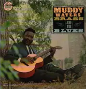 Muddy Waters - Brass and the Blues