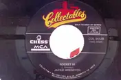 Muddy Waters - Got My Mojo Working