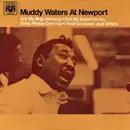 LP - Muddy Waters - Muddy Waters At Newport