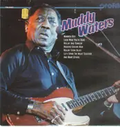 Muddy Waters - Profile