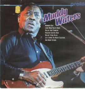 Muddy Waters - Profile