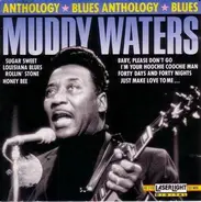 Muddy Waters - Blues Anthology