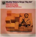 LP - Muddy Waters - Muddy Waters Sings 'Big Bill'