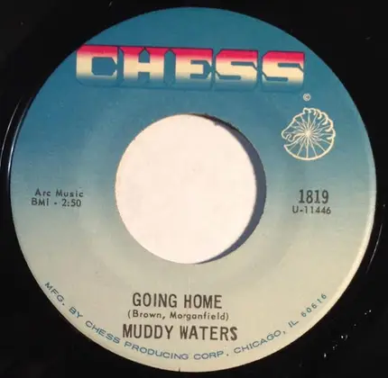 Muddy Waters - Tough Times / Going Home