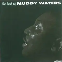 Muddy Waters - The Best Of