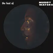 Muddy Waters - The Best Of