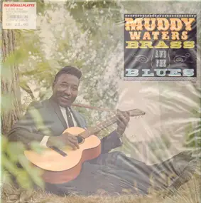 Muddy Waters - Brass and the Blues