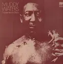 Double LP - Muddy Waters - Experiment In Blues