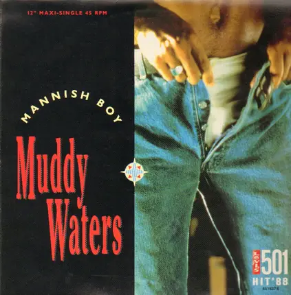 Muddy Waters - Mannish Boy