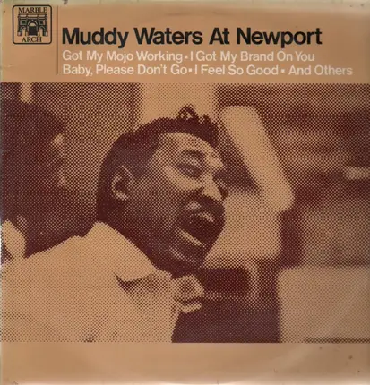 Muddy Waters - Muddy Waters At Newport