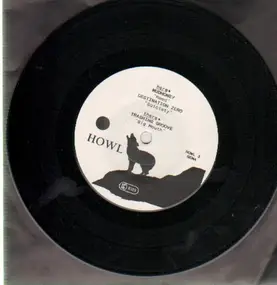 Mudhoney - Howl 3