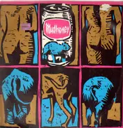 Mudhoney - You're Gone