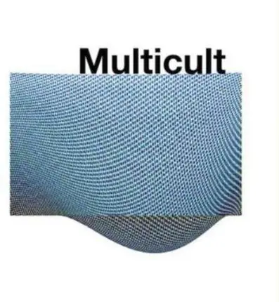 MULTICULT - JAWS