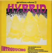 Multicoloured Shades - Gyrations Volume II