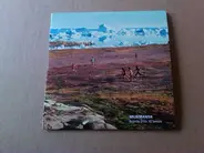 Murmansk - Eleven Eyes To Shade