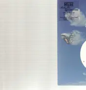 Muse - Butterflies & Hurricanes