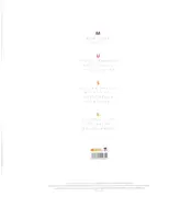 Double LP - Muse - Origin of Symmetry: XX Anniversary RemiXX