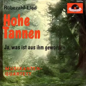 Musikanten-Quartett - Hohe Tannen / Ja, Was Ist Aus Ihm Geworden