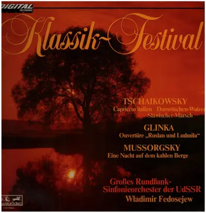 Mussorgsky, Glinka, Tschaikowsky a.o. - Klassik-Festival