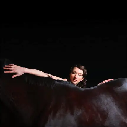 My Brightest Diamond - Bring Me the Workhorse