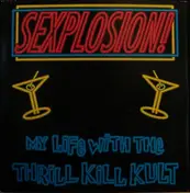 My Life With the Thrill Kill Kult - Sexplosion!