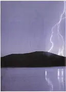 7inch Vinyl Single - My Own Lies - Sounds Like An Accident