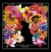My Panda Shall Fly - Tropical