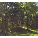 CD - MY SUMMER AS A SALVATION - ACTIVISM