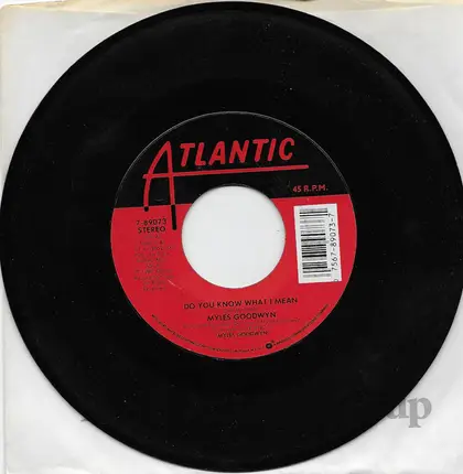 Myles Goodwyn - Do You Know What I Mean
