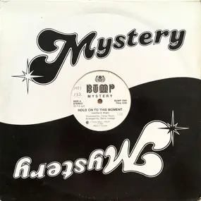 The Mystery - Hold On To This Moment