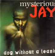 Mysterious Jay - Dog Without A Leash