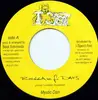 7inch Vinyl Single - Mystic Dan - Reggae Fi Days