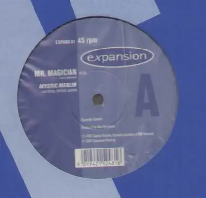 Mystic Merlin - Mr Magician / Just Can't Give You Up
